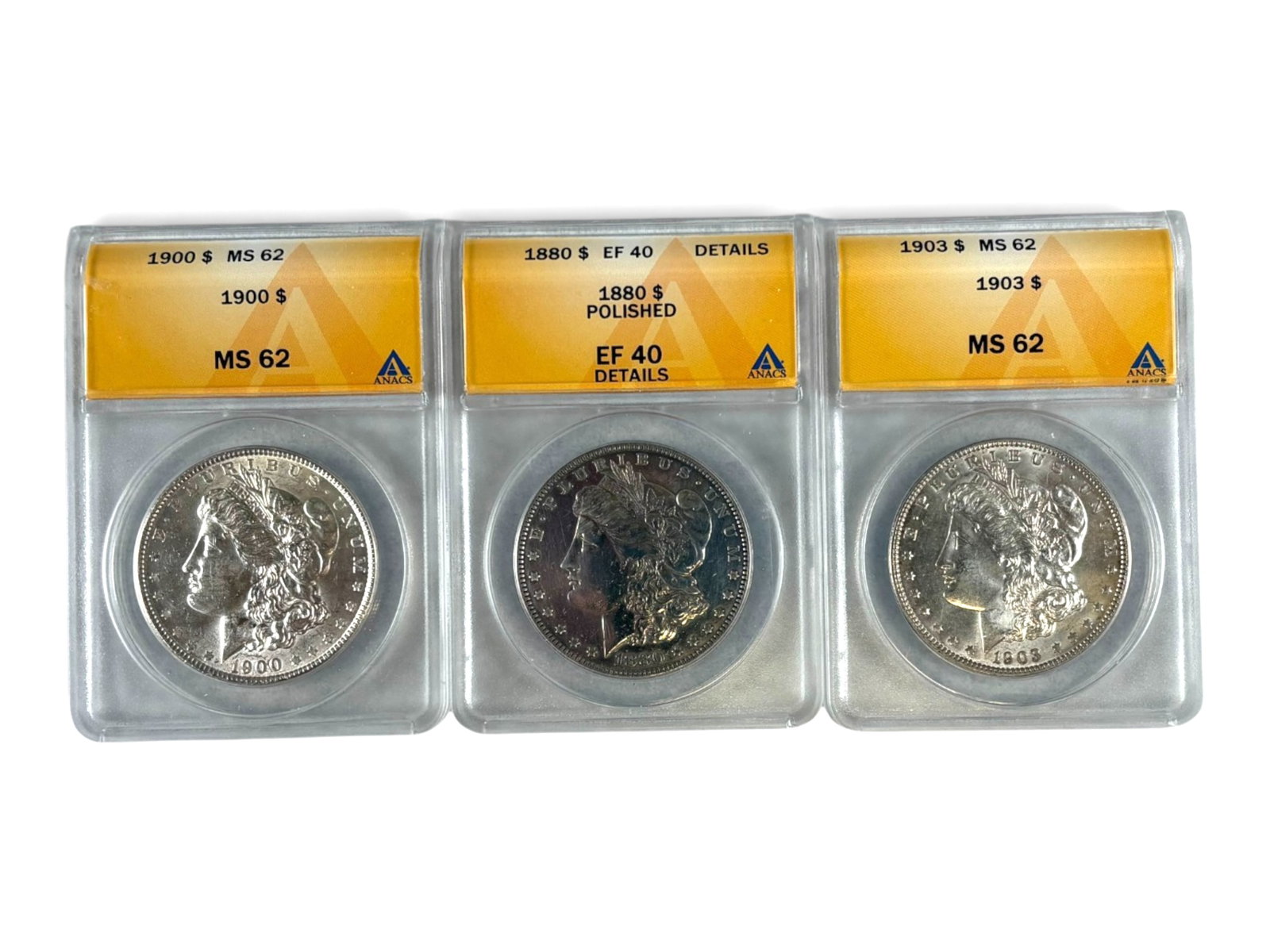 (19) Graded Morgan Dollars - 6