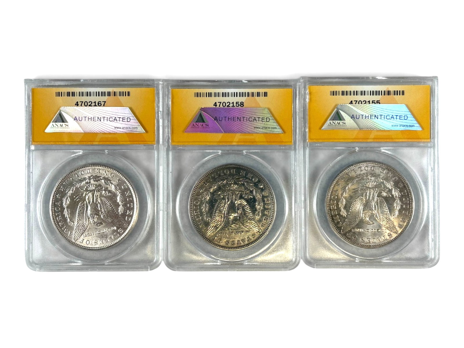 (19) Graded Morgan Dollars - 7