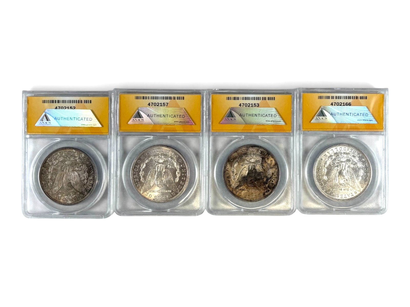 (19) Graded Morgan Dollars - 9