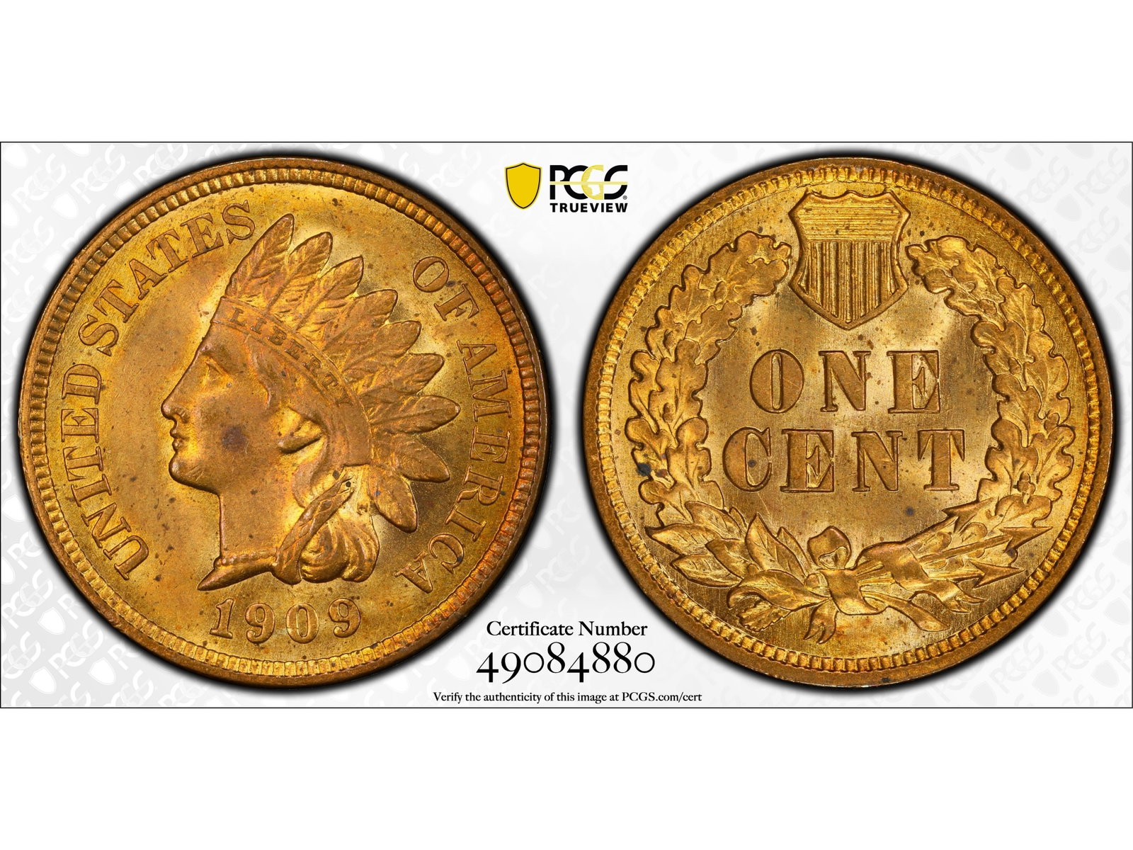 1909 1C Graded PCGS MS64RB: 1909 Indian Head one cent graded PCGS MS64RB. PCGS #49084880. Shipping: Weiss Auctions offers full-service, in-house shipping for nearly all items in this auction. For a shipping quote, please contact