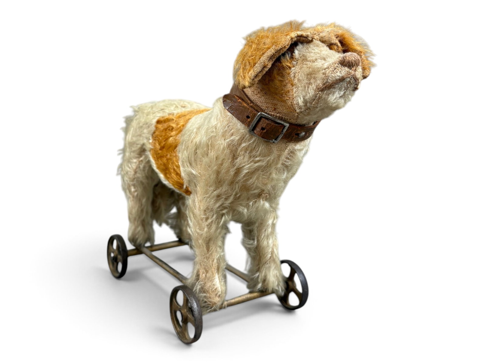 Glass-Eyed Dog on Wheels: Turn-of-the-century glass-eyed dog on a cast iron wheeled base, measuring approximately 12 inches long and 9? inches tall. Retains a good portion of its original fur, though there are some bald