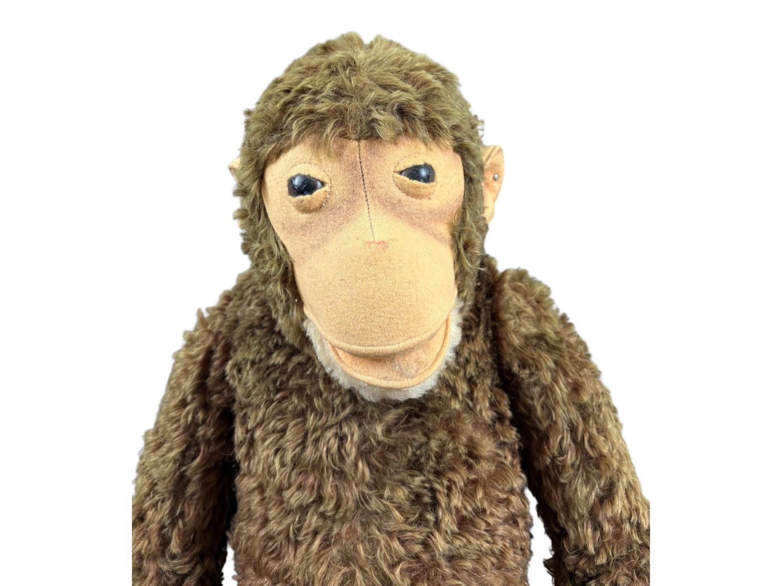 Large Steiff Studio Monkey, Button in Ear - 2