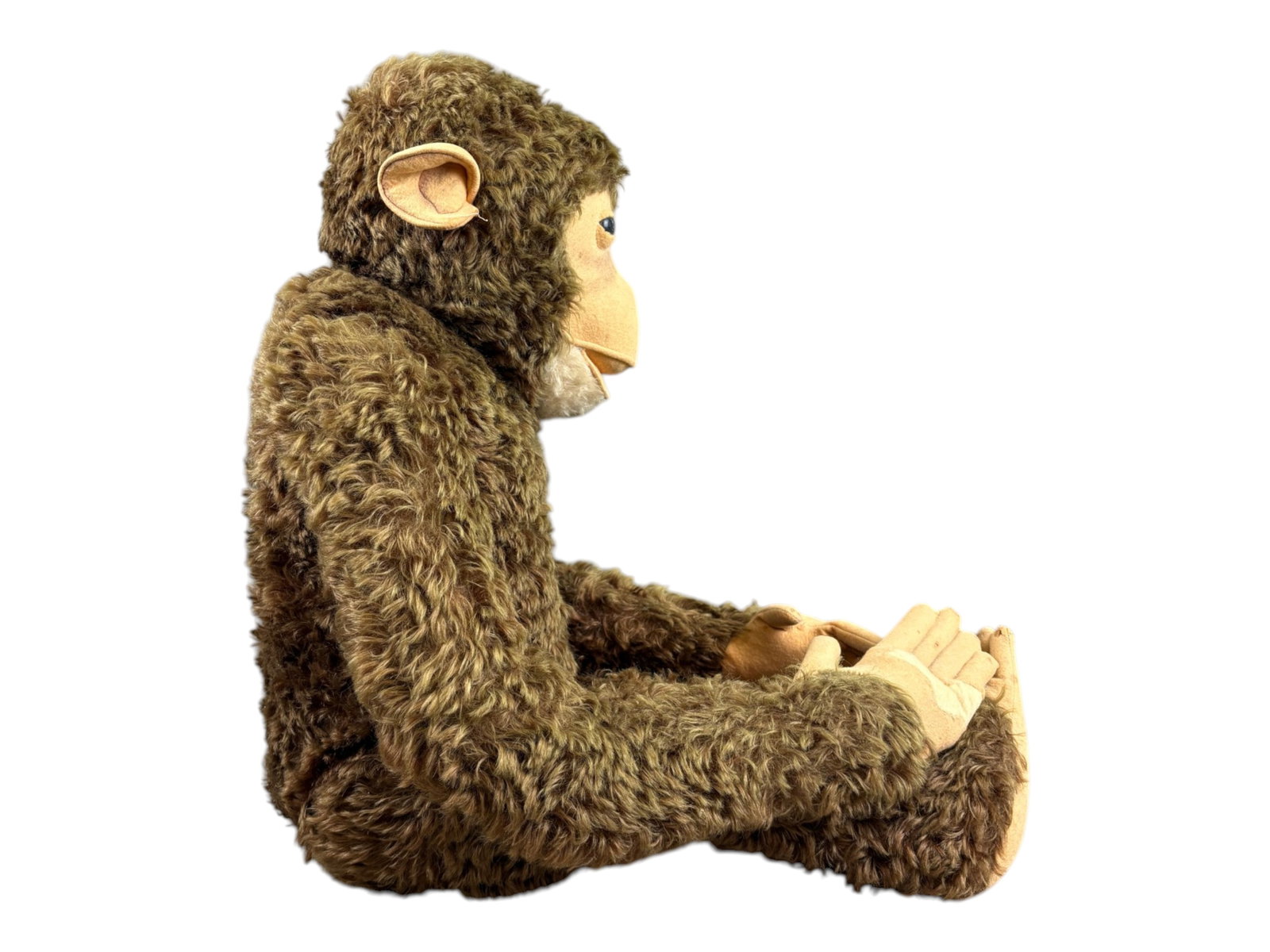 Large Steiff Studio Monkey, Button in Ear - 5