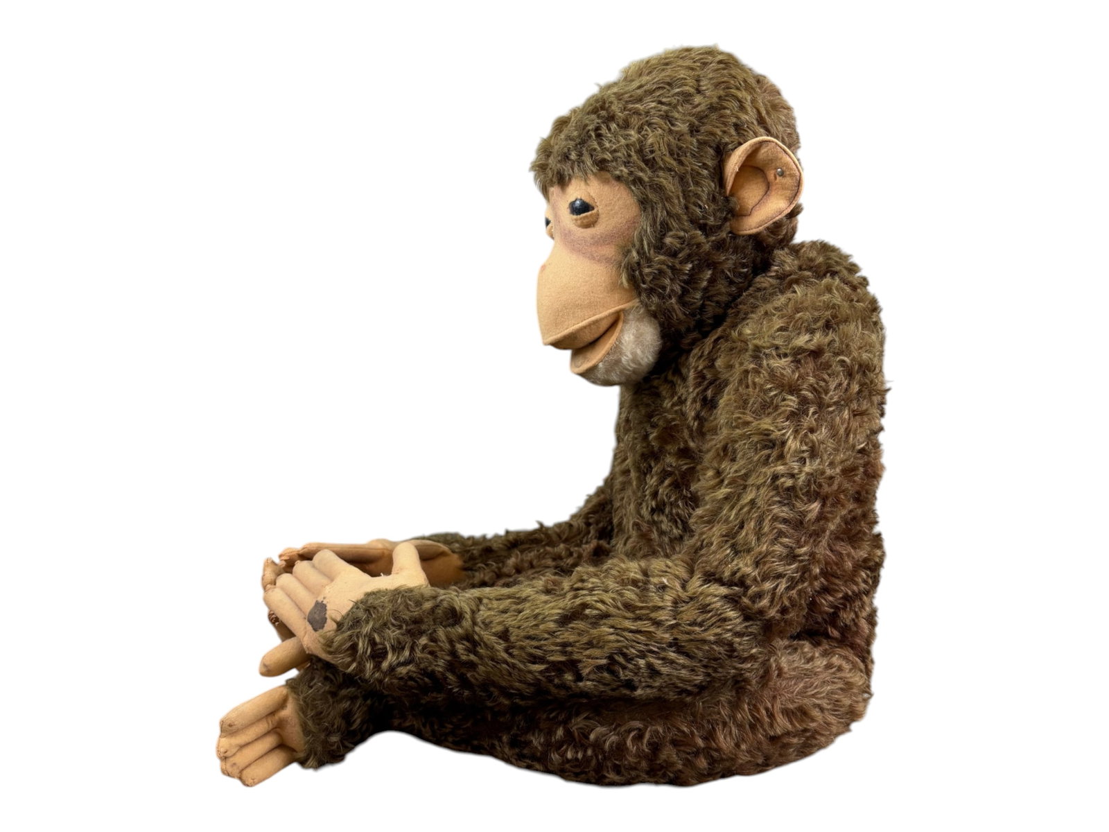 Large Steiff Studio Monkey, Button in Ear - 6