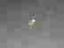 item-41164667=3