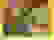 item-43579202=3