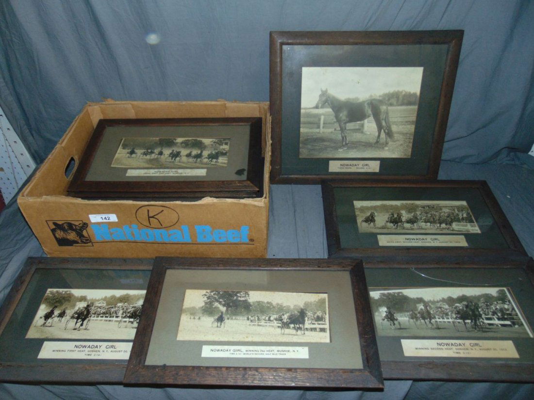 Lot of Vintage Trotting Photographs (1 of 7)