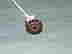 item-48330594=4