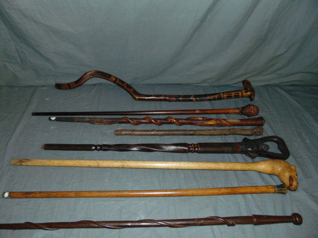 Cane, Walking Stick and Baton Lot. (1 of 10)