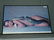 Richard Avedon Signed Poster of Nastassja Kinski