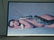 Richard Avedon Signed Poster of Nastassja Kinski - 2