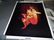 Lot of 5 Assorted Erotic Head Shop Posters - 3