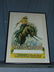 1930s Ken Maynard 1 Sheet Movie Poster - 5