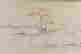 item-127441937=4