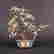 item-133098826=2