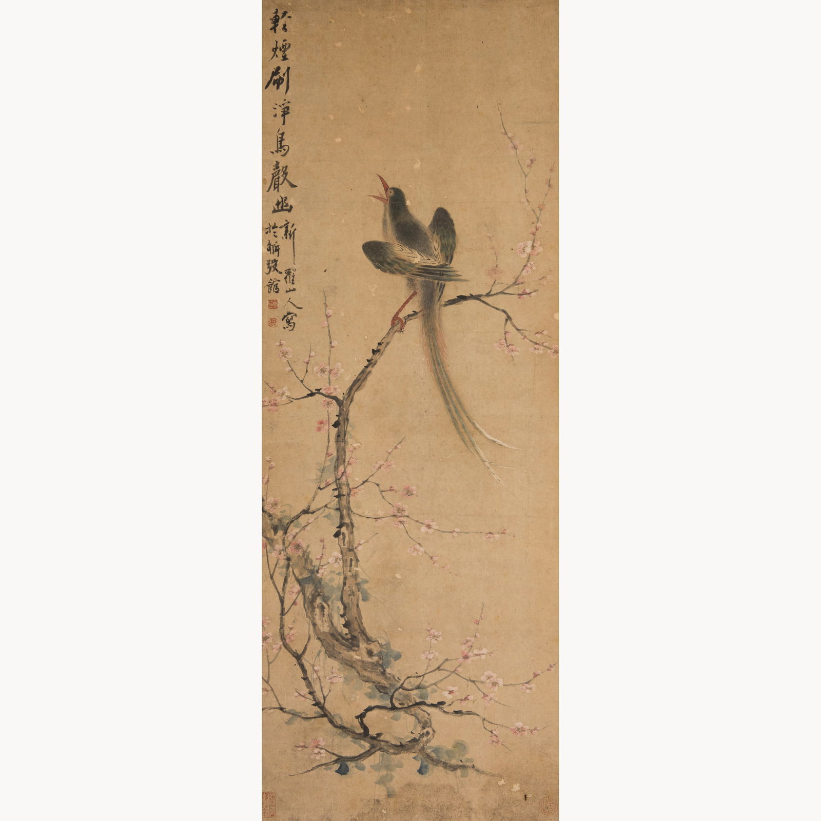 ATTRIBUTED TO HUA YAN (1682 - 1756) - CHINESE PAINTING SCROLL OF BIRD ON TREE (1 of 7)
