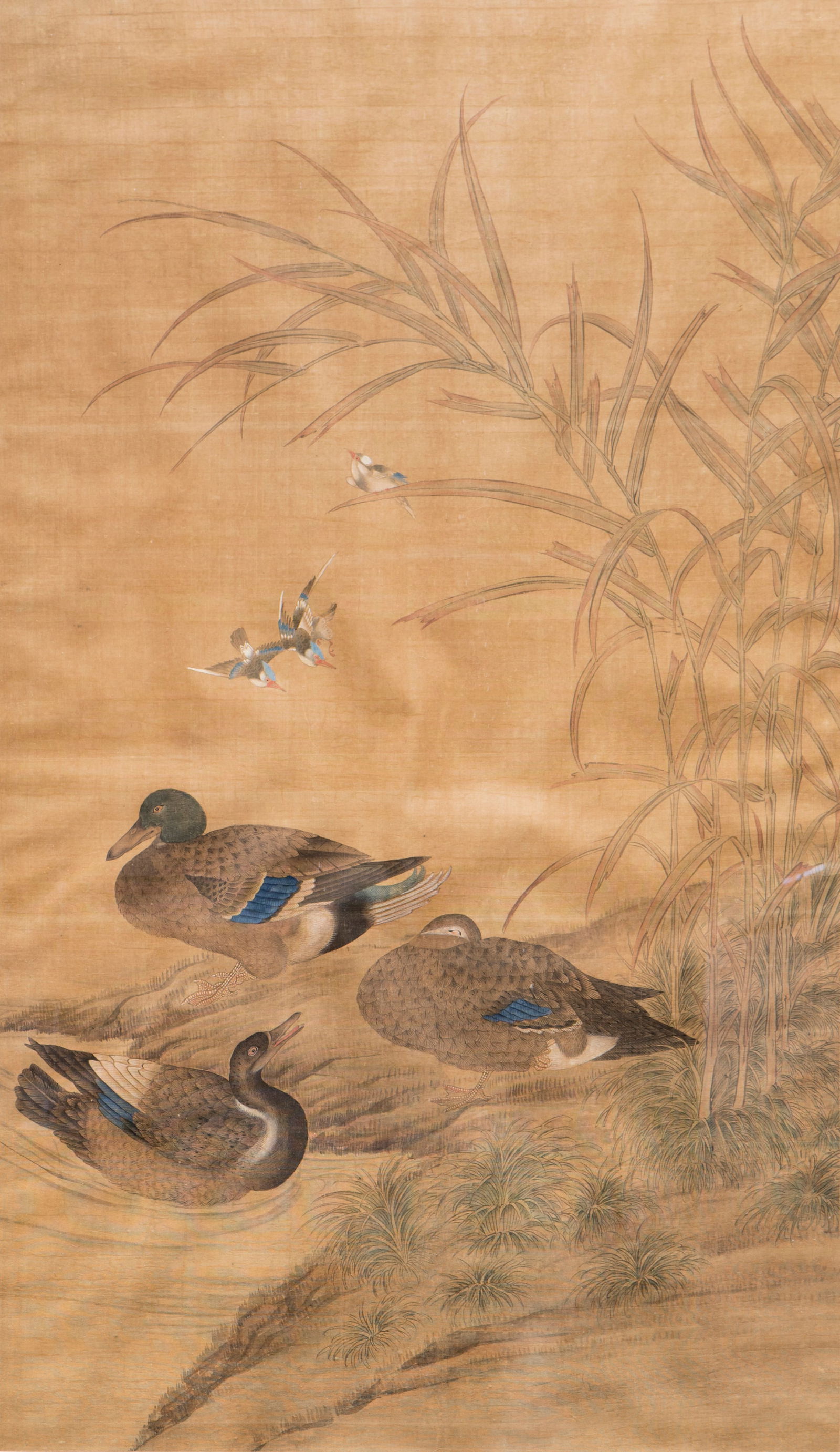 LARGE CHINESE PAINTING OF MANDARIN DUCK, QING DYNASTY: Chinese painting of mandarin duck. Ink and color on silk, mounted and framed. 48.43"h x 27.56"w (123 x 70 cm)