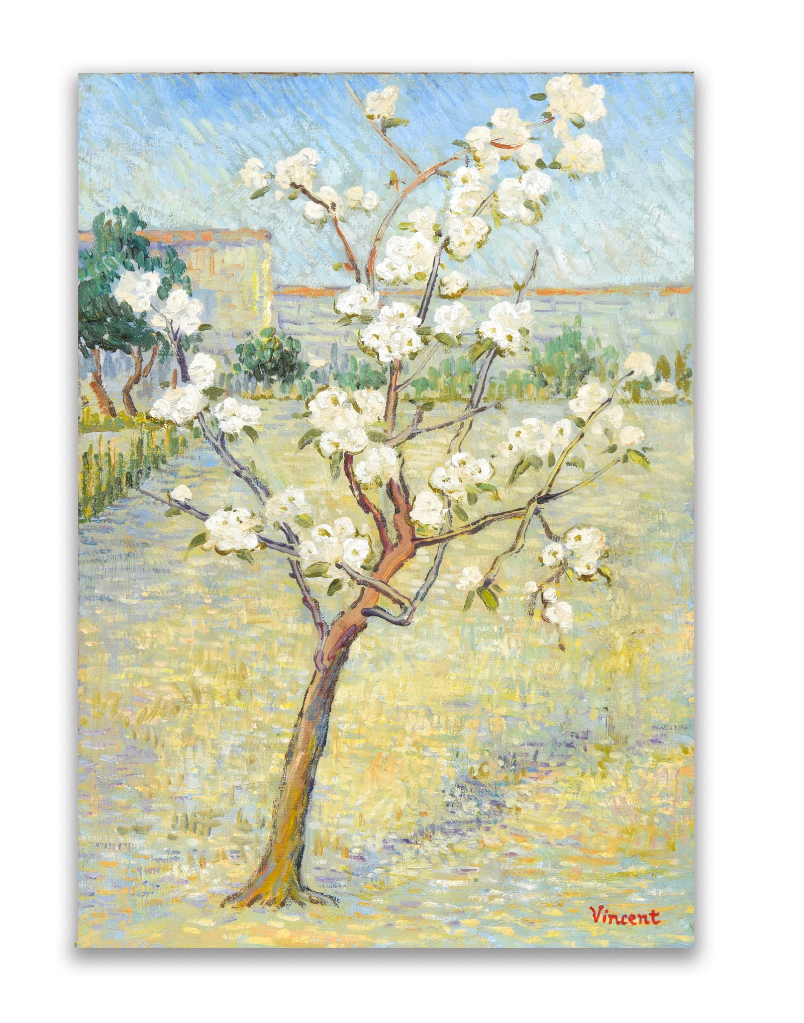 VINCENT VAN GOGH (1853-1890), ATTRIBUTED TO, OIL ON CANVAS: The work presents a luminous spring landscape centered on a slender blossoming tree standing in an open field, its branches extending upward and outward while clusters of white blossoms punctuate the