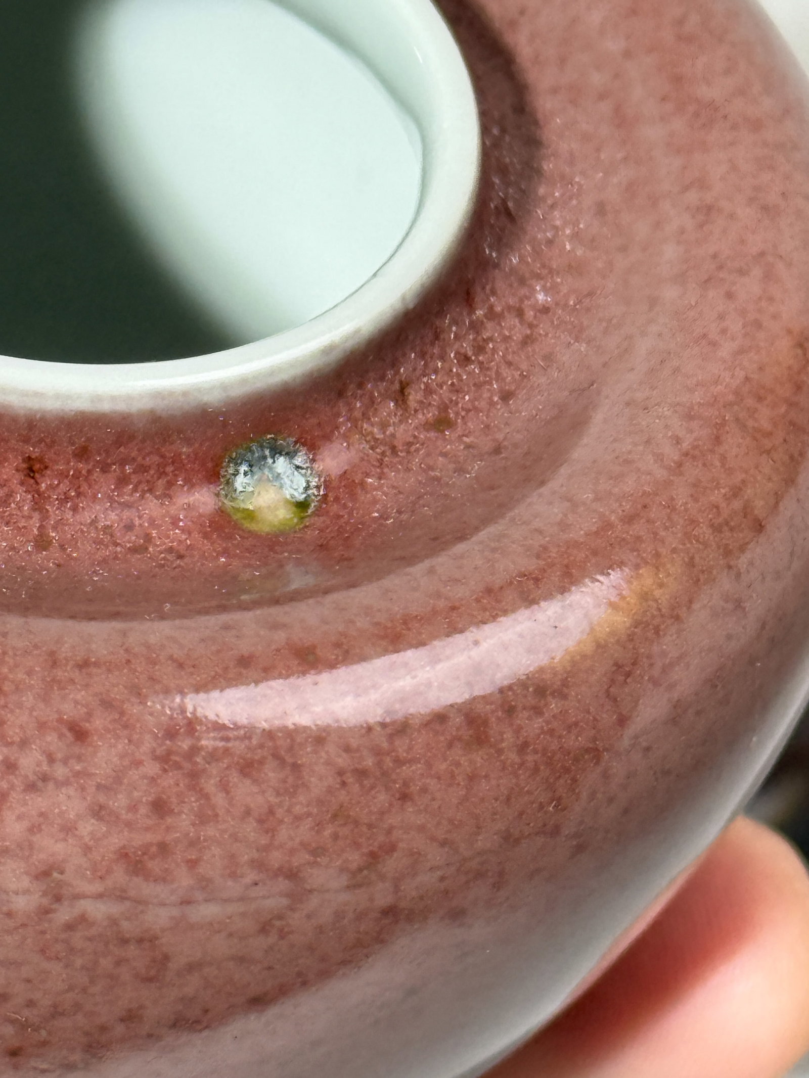CHINESE PEACH BLOOM SCHOLAR PORCELAIN WATERPOT - 7