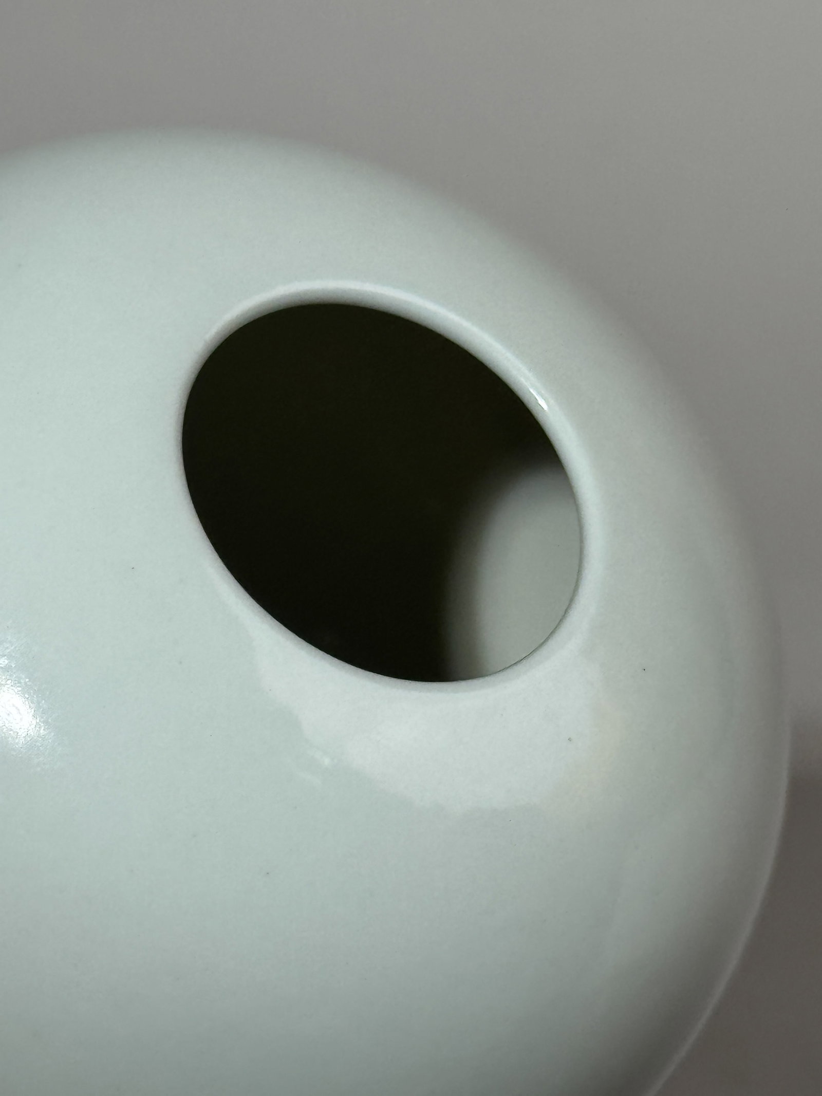 CHINESE BLUE AND WHITE PORCELAIN VASE WITH BIRD - 10