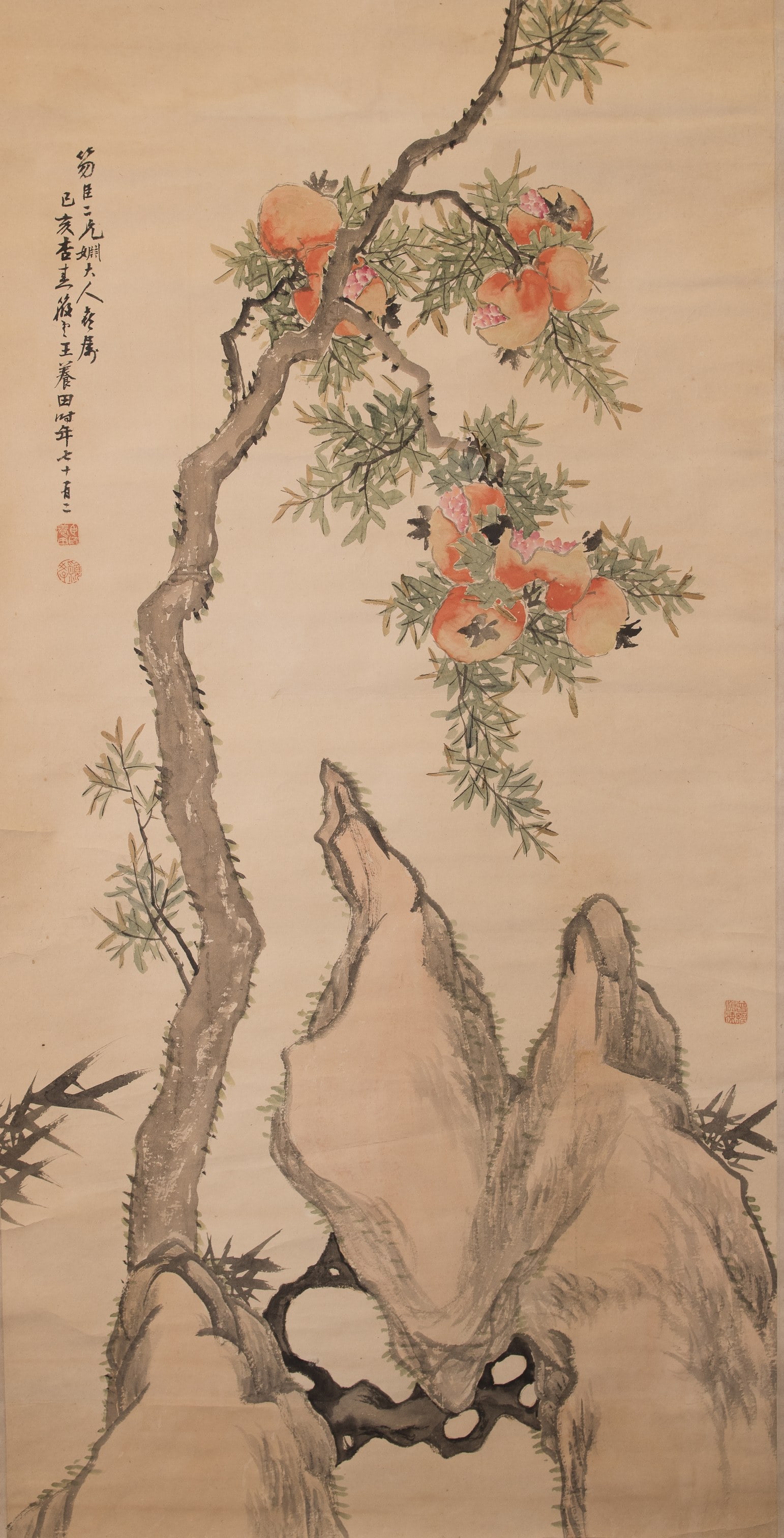 WANG YANGTIAN, POMEGRANATE: Wang Yangtian, Pomegranate. Ink and color on paper, hanging scroll. 51.97"h x 26.38"w (132 x 67 cm)
