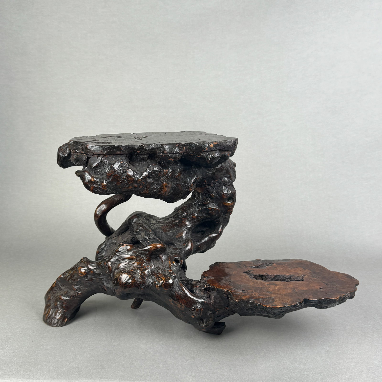 JAPANESE BURLWOOD ROOT SCHOLAR STAND: Japanese burlwood root scholar stand, Meiji period. Dimensions: Width: 20 in. (50.8 cm); Height: 11.5 in. (29.2 cm). Note: This item is in New York, where it can be shipped from.