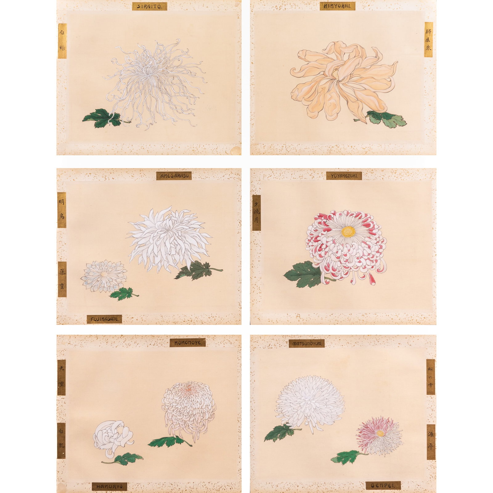 ANONYMOUS, CHINESE PAINTING OF FLOWERS (1 of 9)
