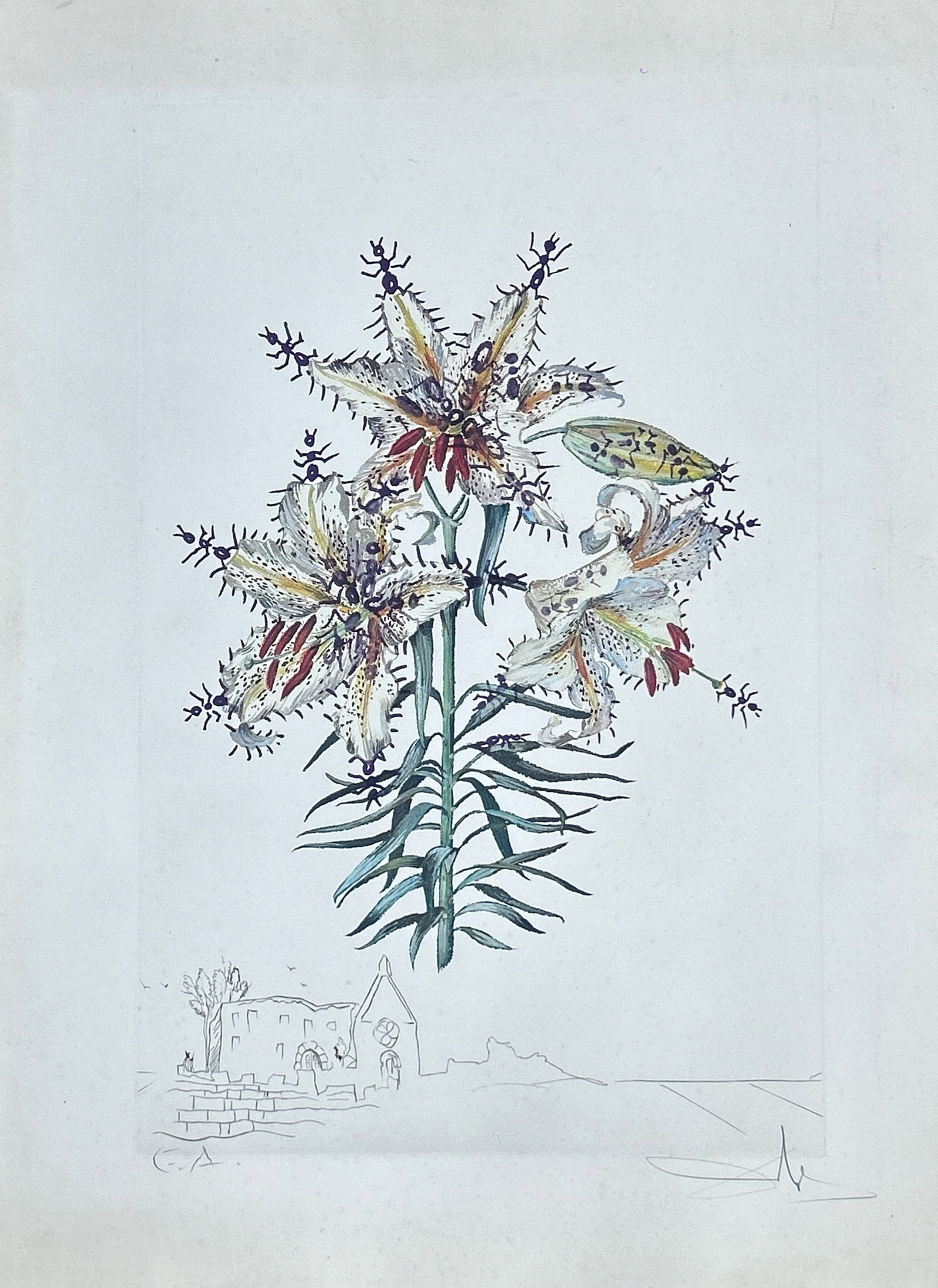 SALVADOR DALI, ATTRIBUTED TO, FLORAL COMPOSITION, HAND-COLORED PRINT: Attributed to Salvador Dali. A hand-colored print on paper depicting a flowering lily with ants and a small chapel and landscape below. The sheet bears the notation 'E.A.' at lower left and a pencil