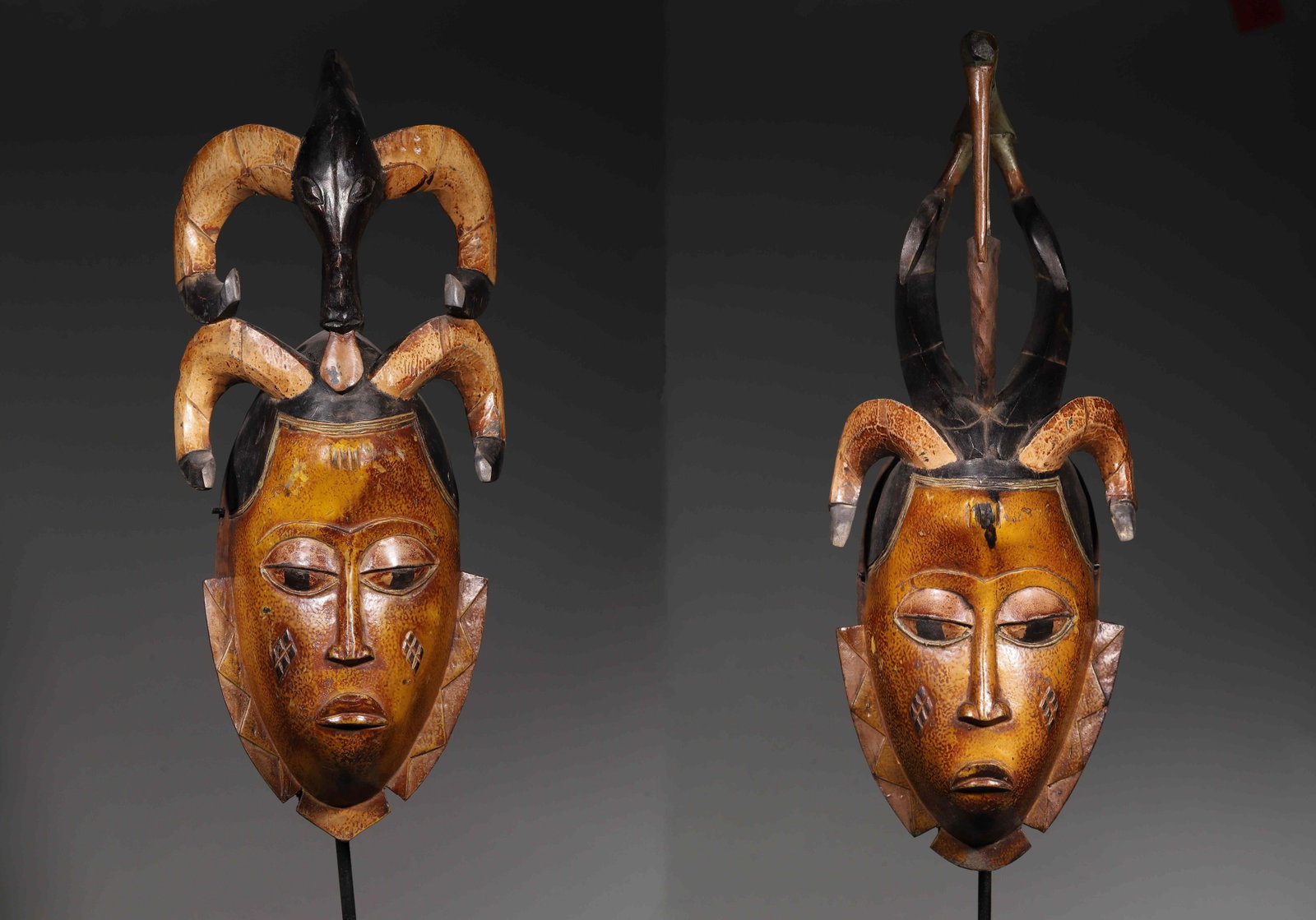 A PAIR OF SENUFO POLYCHROME CARVED WOOD FIRE-DANCE MASKS: A pair of polychrome carved wood masks with horned elements. Right: Ht. 45 cm; W. 20 cm; D. 17 cm; Wt. 681 g; Left: Ht. 44 cm; W. 23 cm; D. 17 cm; Wt. 823 g. Note: By repute, associated with Senufo fi