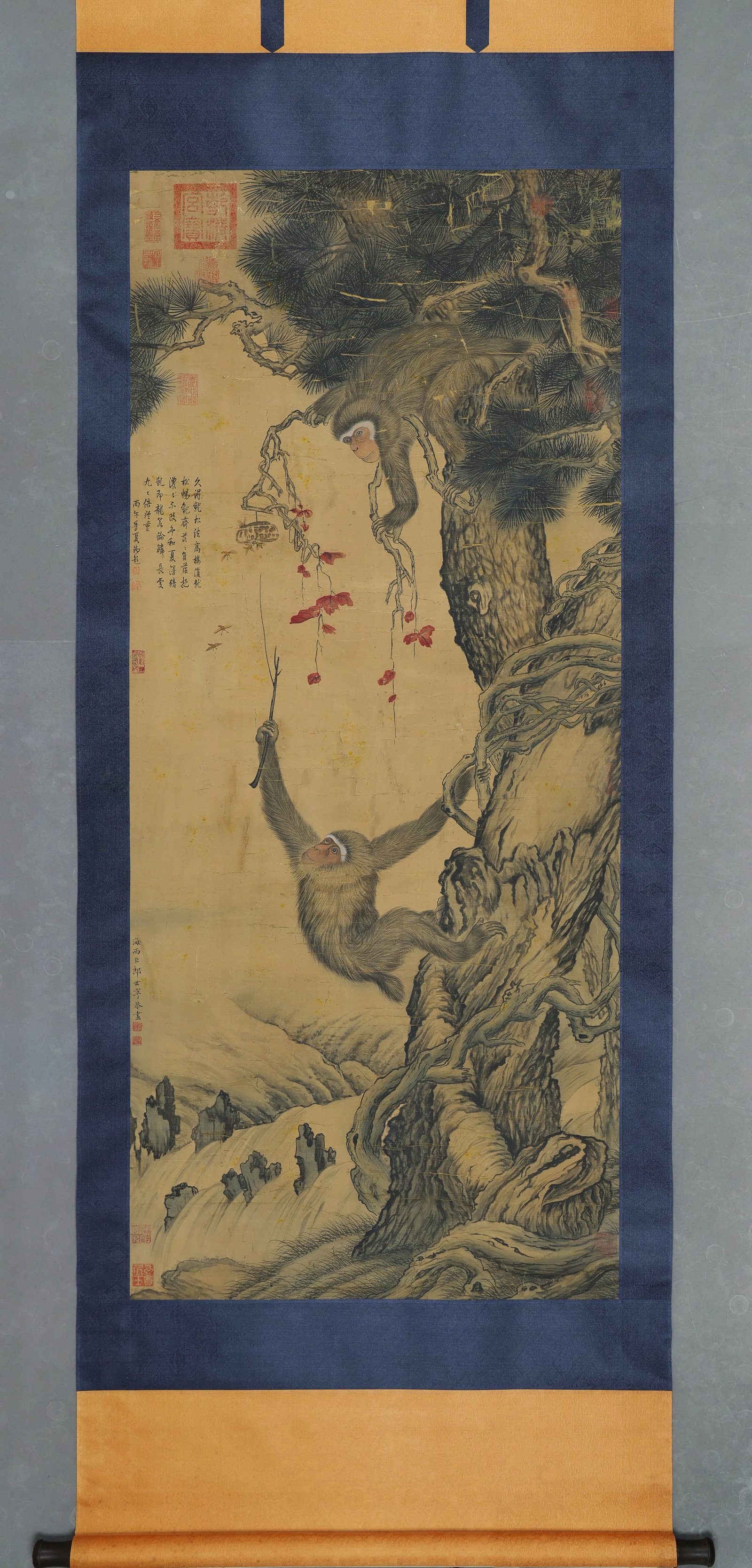 GIUSEPPE CASTIGLIONE, ATTRIBUTED TO, MONKEYS AMID PINES, HANGING SCROLL: Attributed to Giuseppe Castiglione. Ink and color on silk, hanging scroll, depicting two monkeys among pine branches above a mountain stream. The work bears inscriptions and multiple seals. Dimensions