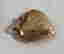 item-76008011=3
