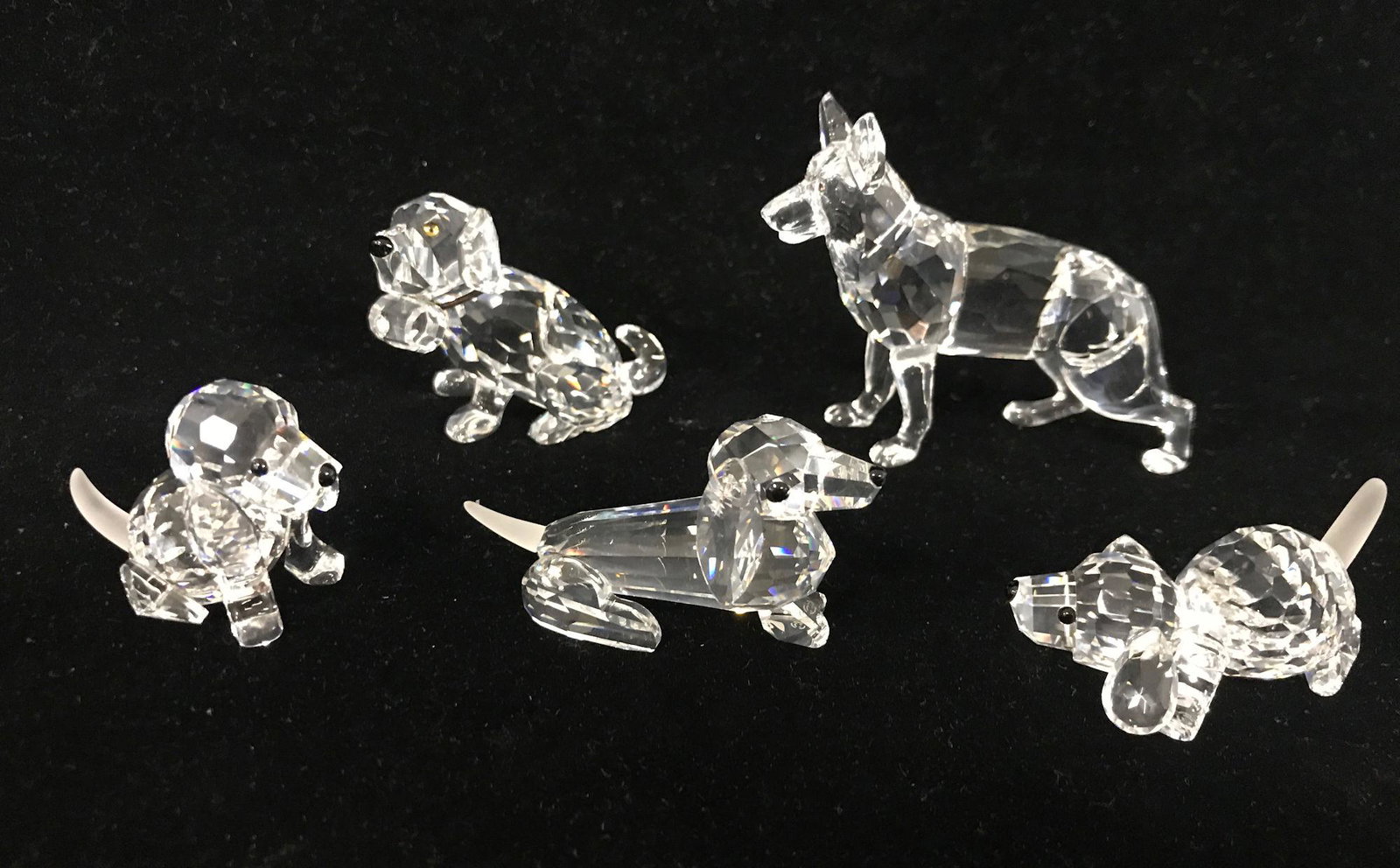 5 SWAROVSKI CRYSTAL DOGS - GERMAN SHEPHERD, ST.: 5 SWAROVSKI CRYSTAL DOGS - GERMAN SHEPHERD, ST. BERNARD, DACHSHUND AND 2 BEAGLES, 1" TO 2." ORIGINAL BOXES INCLUDED