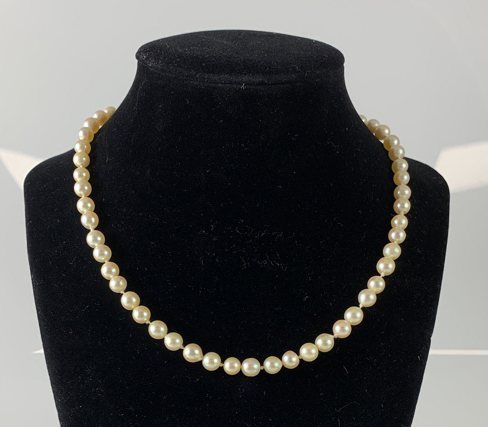 PEARL NECKLACE: PEARL NECKLACE ~ SILVER PLATE FILIGREE CLASP/CLOSURE. 56-COUNT PEARLS. 16" CHOKER LENGTH. OFF-WHITE ROUND PEARLS MEASURING APPROX. 6.25 MM. CHAMPAGNE TONE. STRAND DOUBLE KNOTTED BETWEEN EACH PEARL.