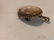 THREE SMALL VINTAGE CAMEO PINS/PENDANTS - 7