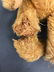 RARE GOOGLY EYE MOHAIR TEDDY BEAR. DISK JOINTED NECK, - 3