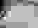 item-81952405=4