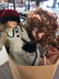 BOX LOTS INCLUDING DOLLS