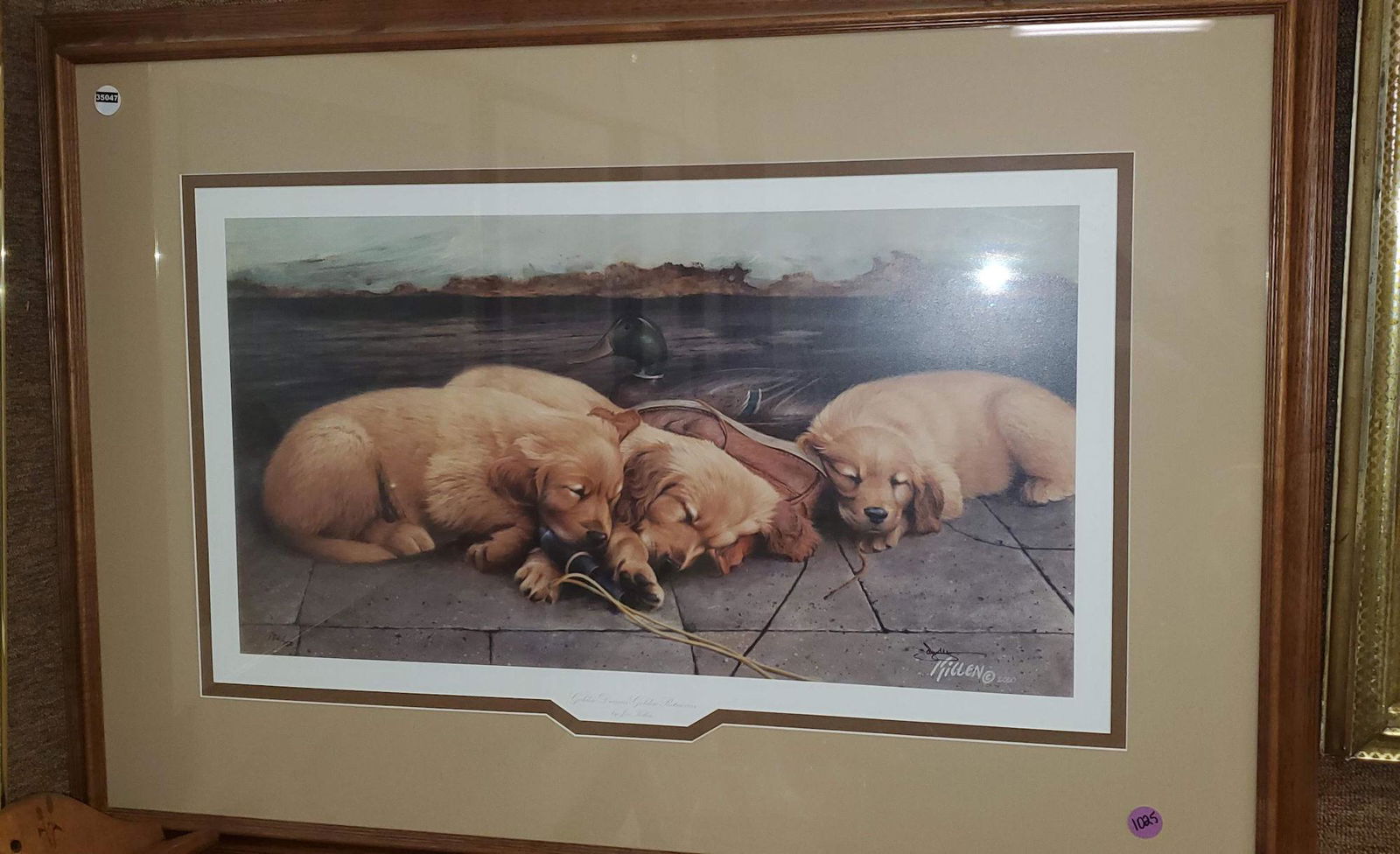 GOLDEN DREAMS GOLDEN RETRIEVERS BY JIM KILLEN: GOLDEN DREAMS GOLDEN RETRIEVERS BY JIM KILLEN