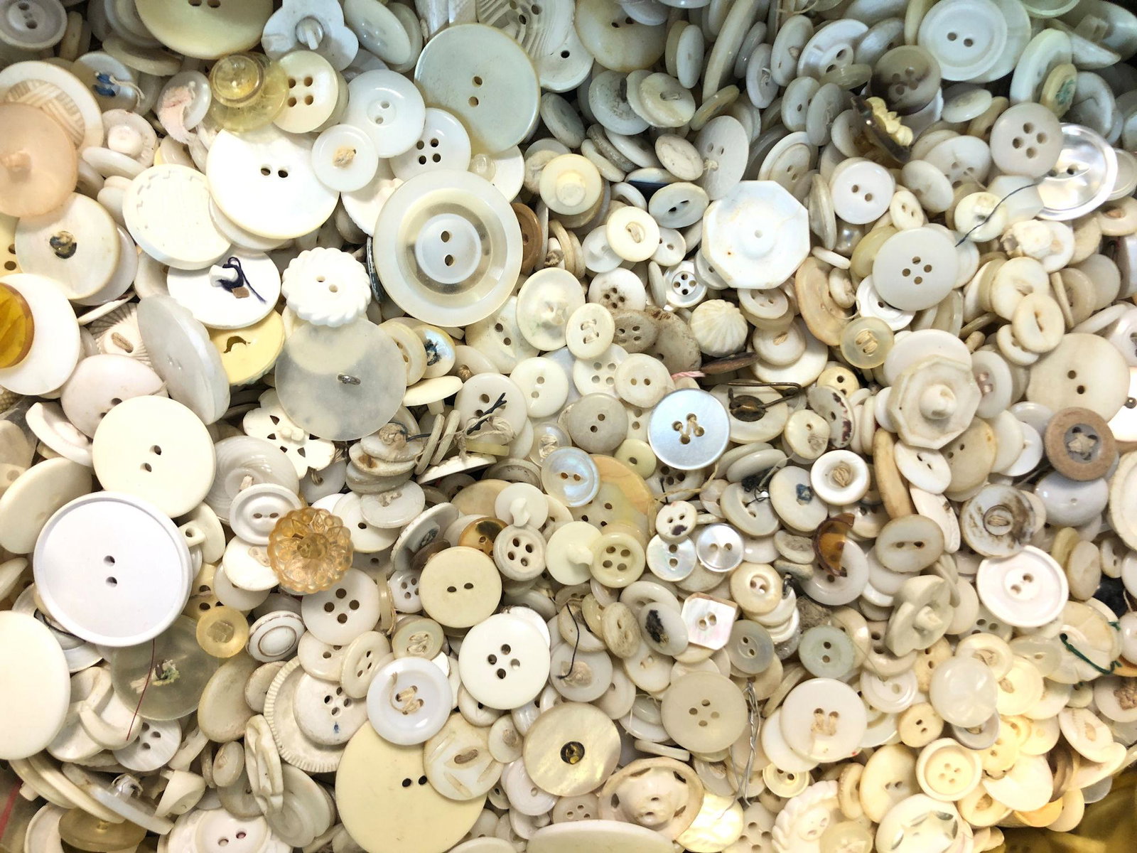 TIN BOX LOT OF WHITE VINTAGE BUTTONS: TIN BOX LOT OF WHITE VINTAGE BUTTONS