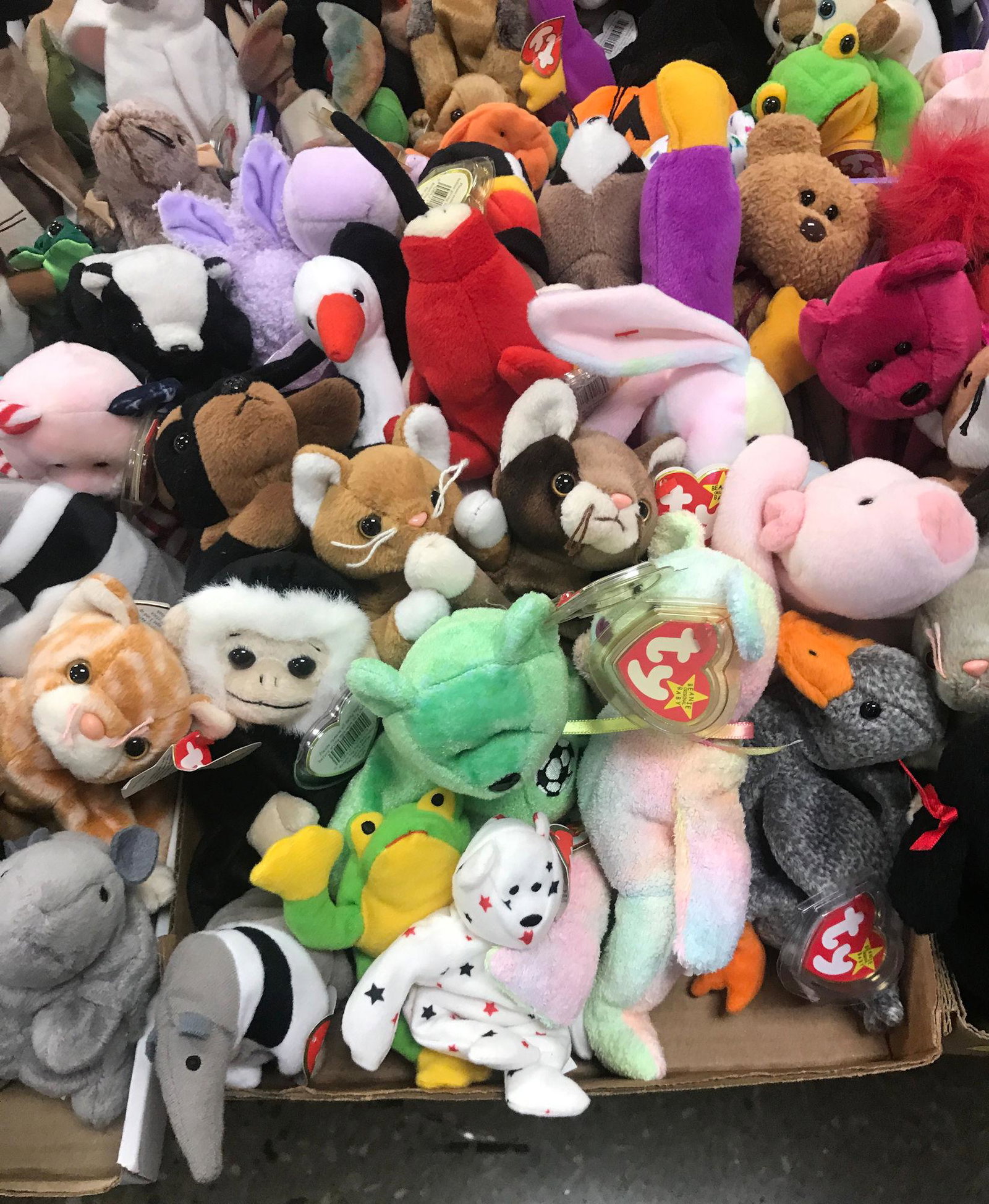BOX LOT OF BEANIE BABIES: BOX LOT OF BEANIE BABIES