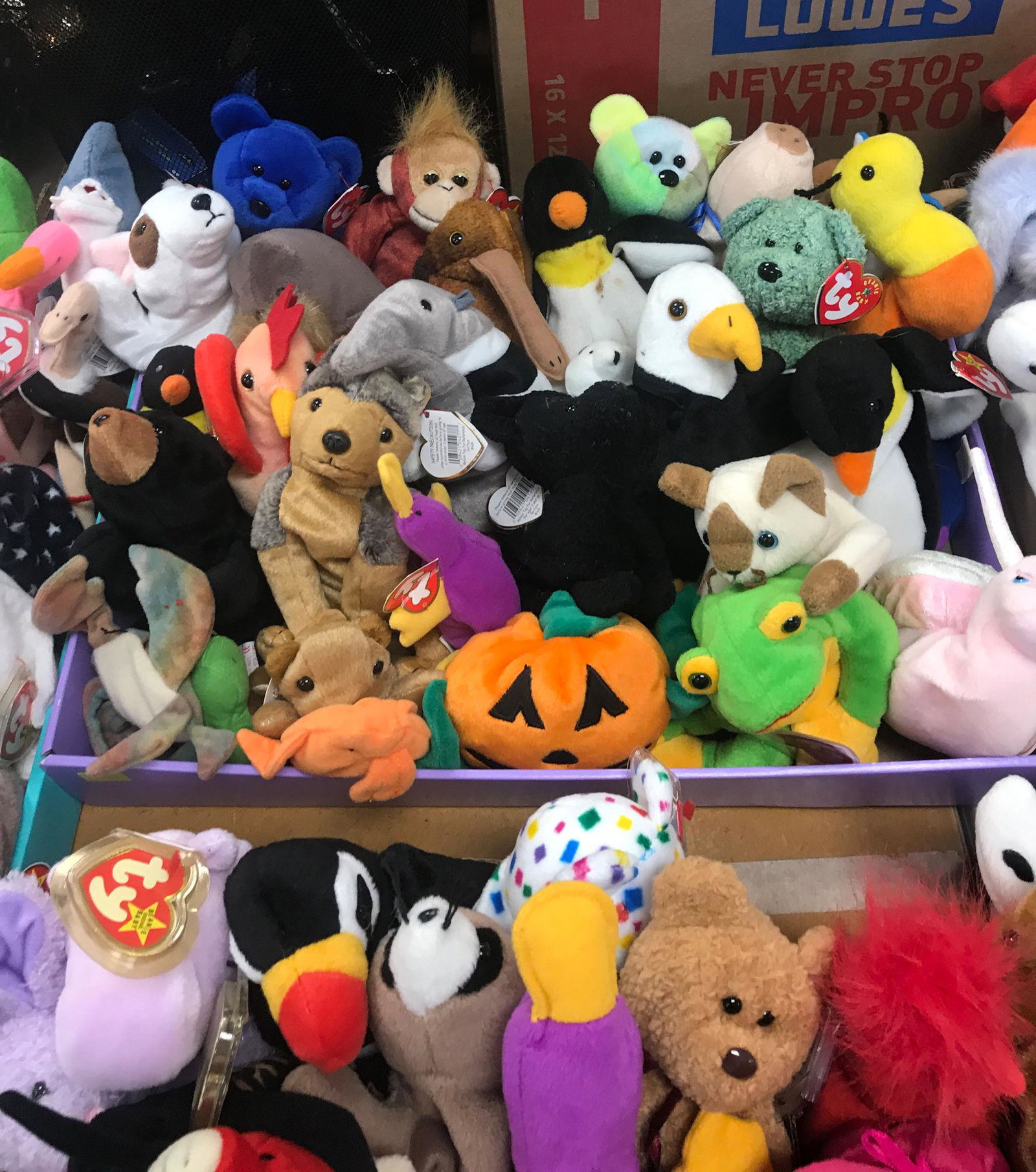 BOX LOT OF BEANIE BABIES: BOX LOT OF BEANIE BABIES