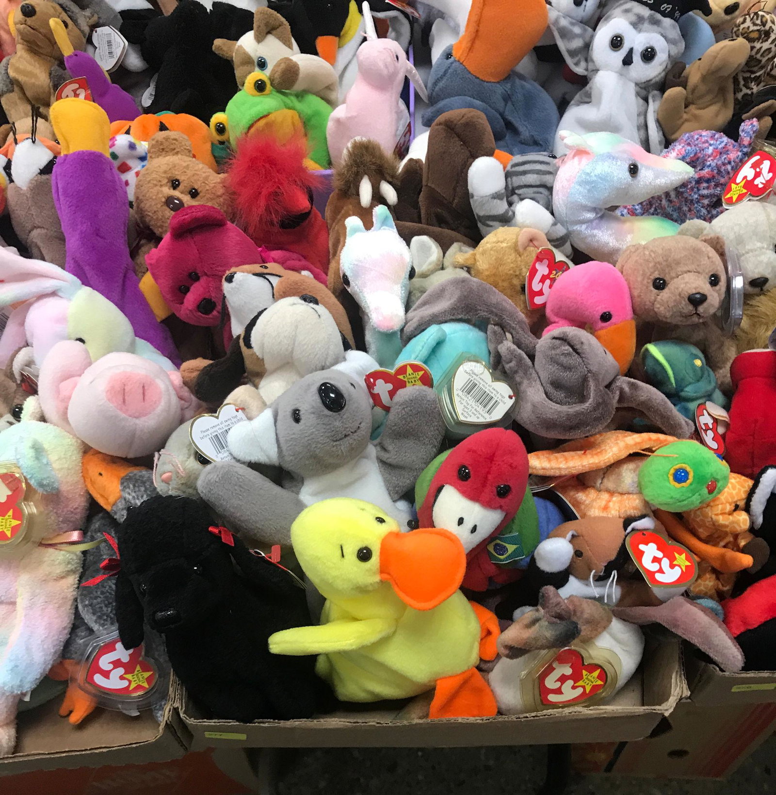 BOX LOT OF BEANIE BABIES: BOX LOT OF BEANIE BABIES