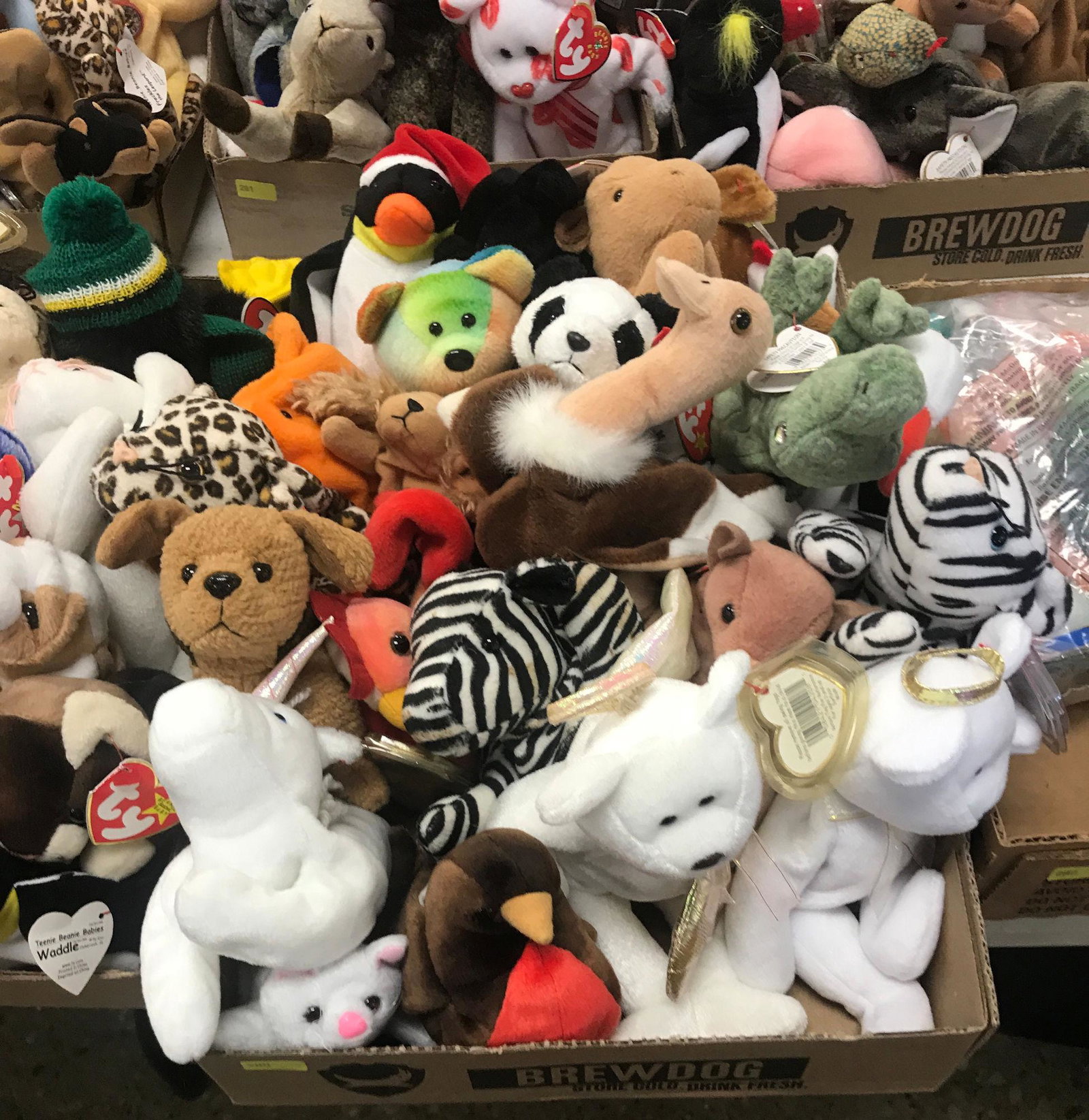 BOX LOT OF BEANIE BABIES: BOX LOT OF BEANIE BABIES