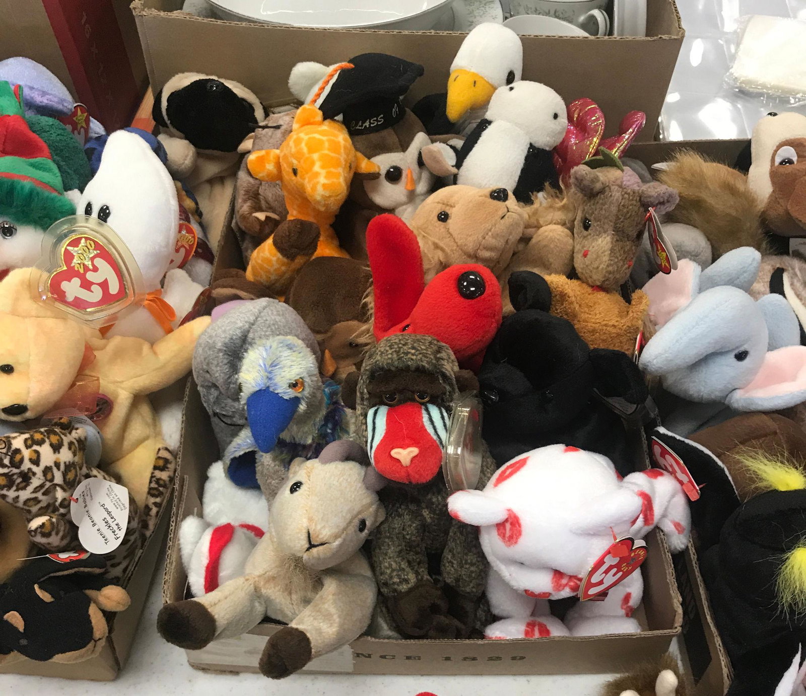 BOX LOT OF BEANIE BABIES: BOX LOT OF BEANIE BABIES