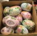 3 BOX LOTS INCLUDING CERAMIC EGGS - 2