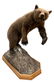 TAXIDERMY MOUNT BROWN BEAR FULL BODY MOUNT 70" H