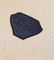 ROSEVILLE 7" WALL POCKET. NO CHIPS, CRACKS, OR REPAIRS - 2