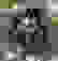 item-90659695=5