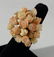 SUNNING 14KT YELLOW GOLD AND CORAL RING