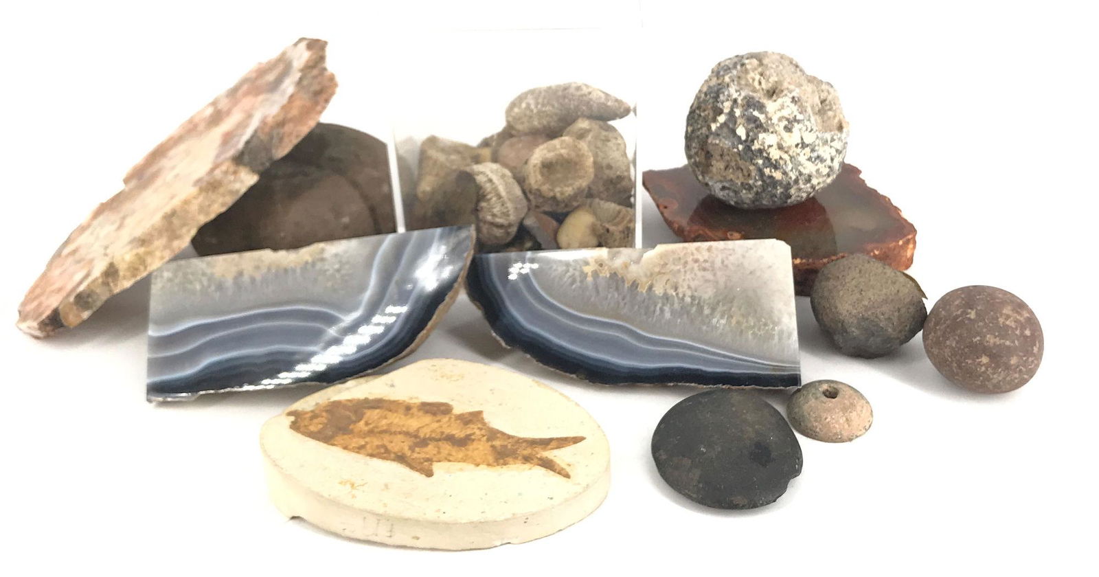 BOX LOT GEODES AND FOSSIL ROCKS. (1 of 1)